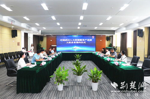 武汉人力资源服务产业园2020年首批入驻企业签约 江汉区人力资源服务业加快复苏