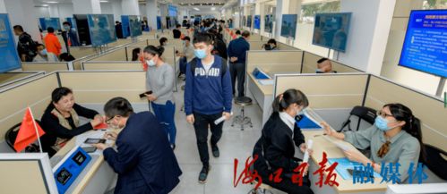 自贸港 职 等你来, 就 在海口