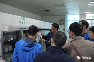 党支部共建交流 互学互动促进步 海南省人力资源开发局就业指导处党支部到海南省血液中心进行主题党日活动