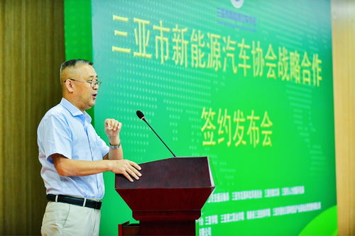 三亚为新能源汽车推广注入强劲动力,公车采购要求全部新能源