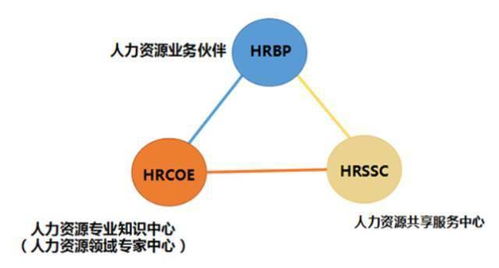 奇葩面试 花式裁员 计较薪资......你对hr到底有多少误解