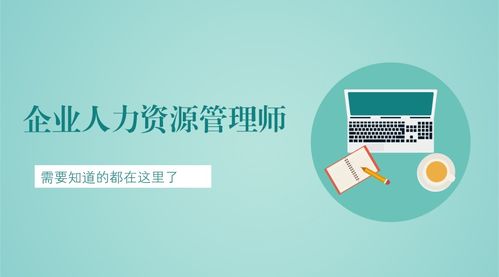人力资源管理师的含金量有多高
